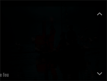 Tablet Screenshot of circus-paljasso.be